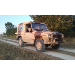 PEINTURE MARRON CAMOUFLAGE...