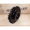 PIGNON BALADEUR 37 DENTS