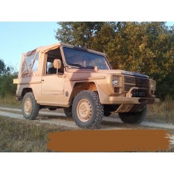 PEINTURE MARRON CAMOUFLAGE...